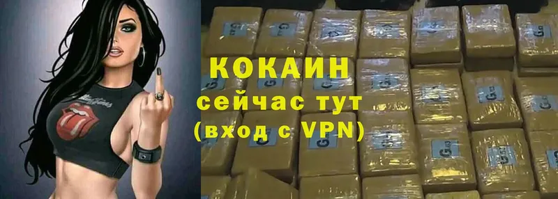 Cocaine Эквадор  кракен маркетплейс  Корсаков  купить  