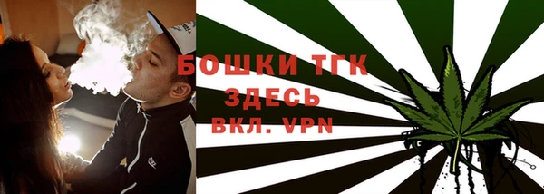 spice Краснослободск