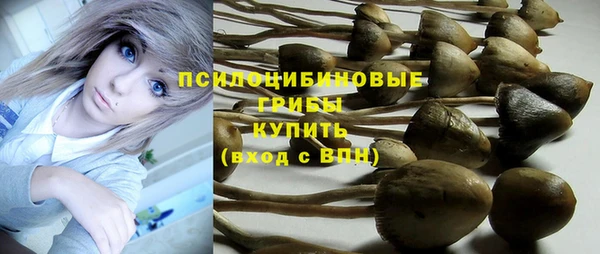 а пвп мука Лабытнанги