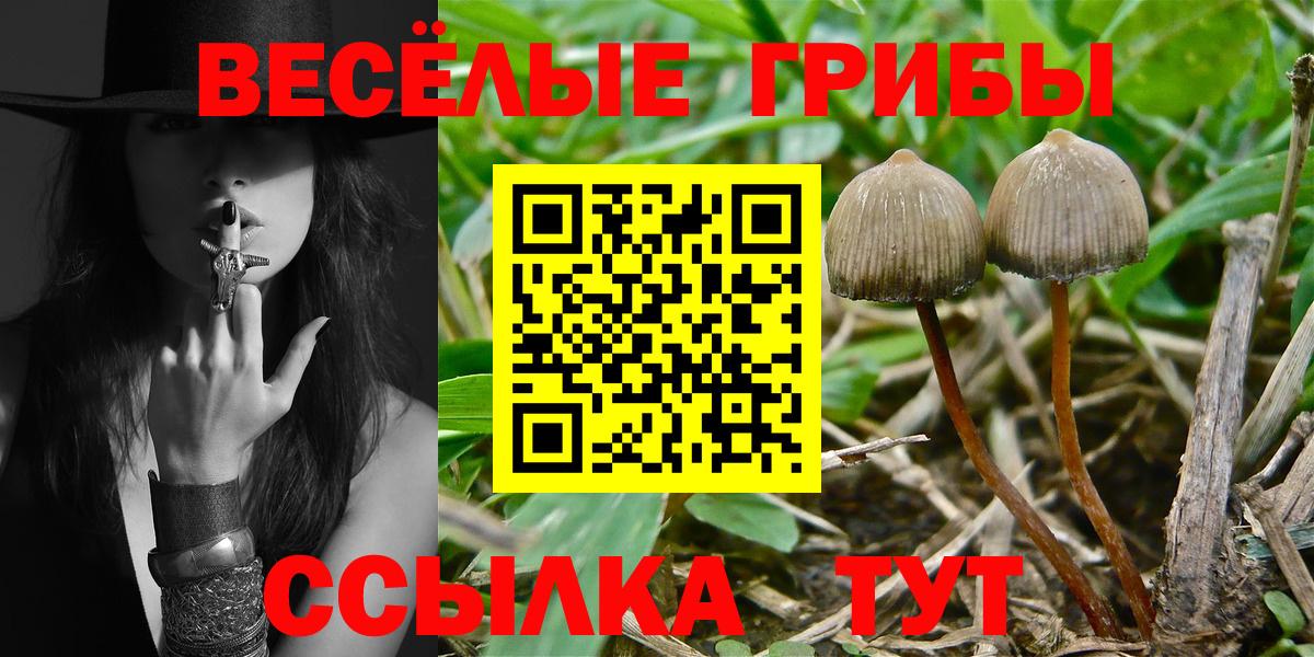 Псилоцибиновые грибы MAGIC MUSHROOMS  Корсаков 