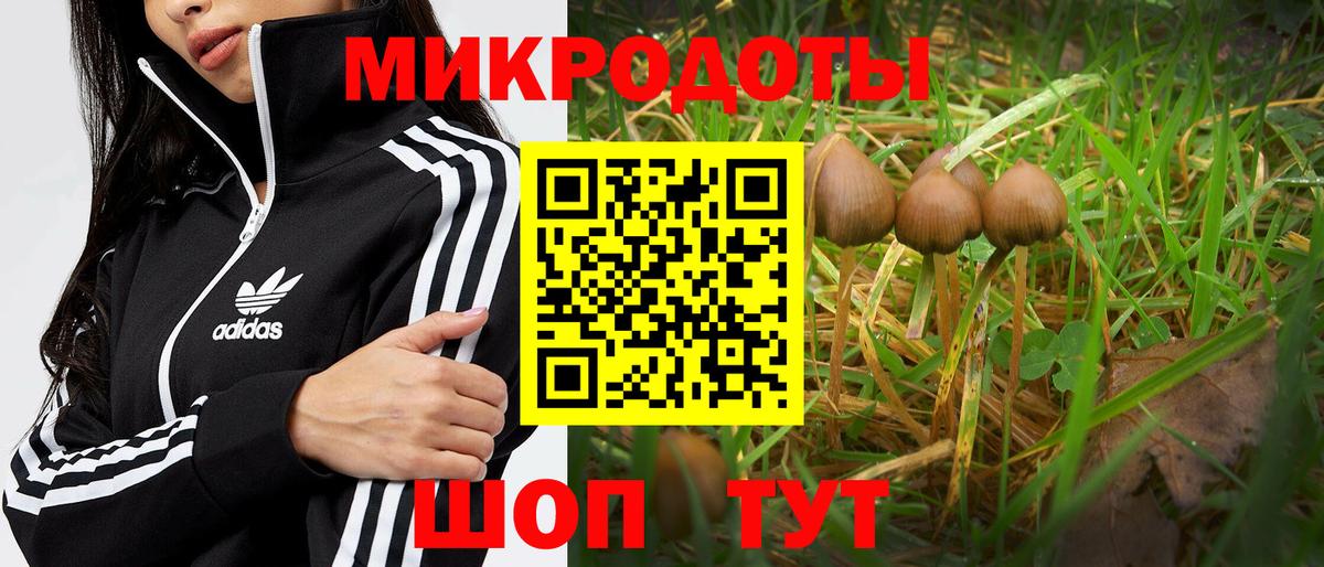 Корсаков  Alpha-PVP  МАРИХУАНА  Мефедрон  Метамфетамин  ГАШИШ  XTC  Вход с VPN  Бошки Шишки  COCAIN 