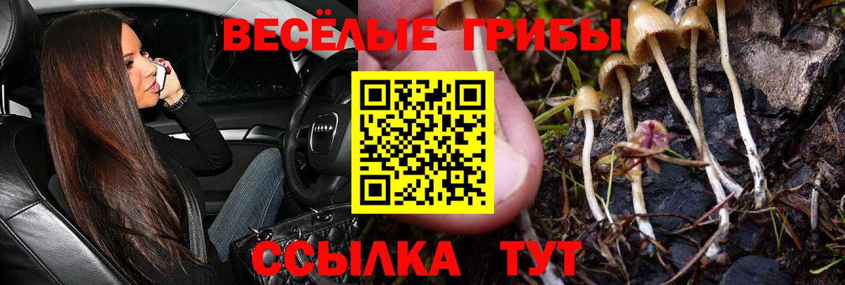 Галлюциногенные грибы MAGIC MUSHROOMS Корсаков