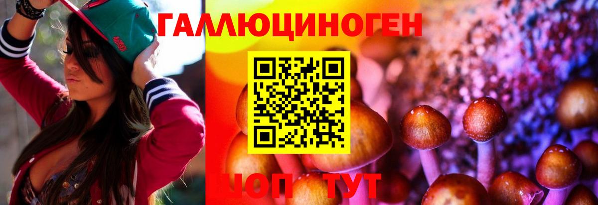 Корсаков  Галлюциногенные грибы MAGIC MUSHROOMS  Вход с VPN 